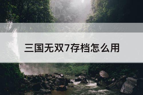 三国无双7存档怎么用