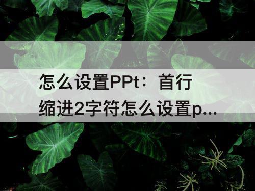 怎么设置PPt：首行缩进2字符怎么设置ppt