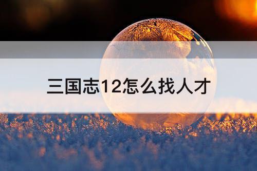三国志12怎么找人才