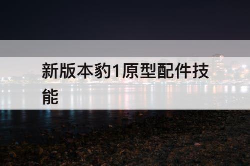新版本豹1原型配件技能