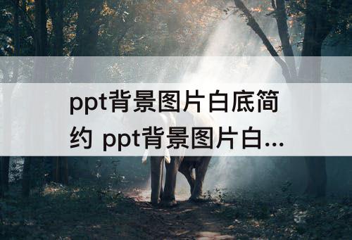 ppt背景图片白底简约 ppt背景图片白底简约大气