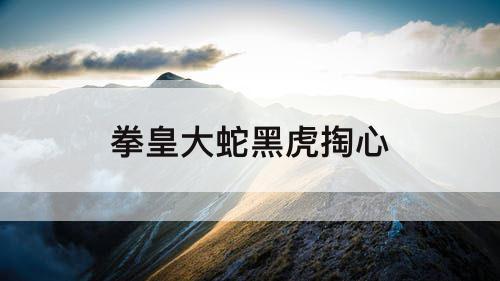 拳皇大蛇黑虎掏心