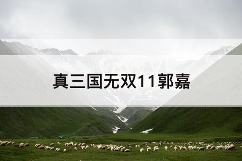 真三国无双11郭嘉