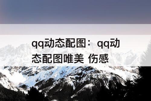 qq动态配图：qq动态配图唯美 伤感