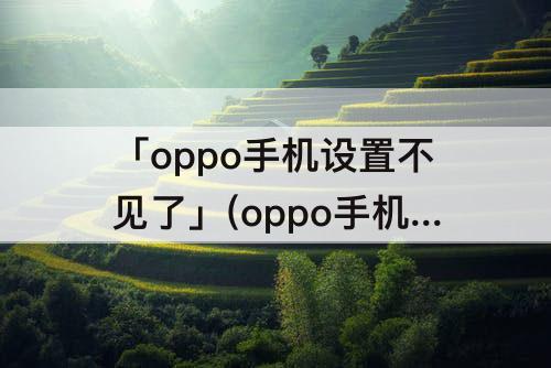 「oppo手机设置不见了」(oppo手机设置不见了怎么办)