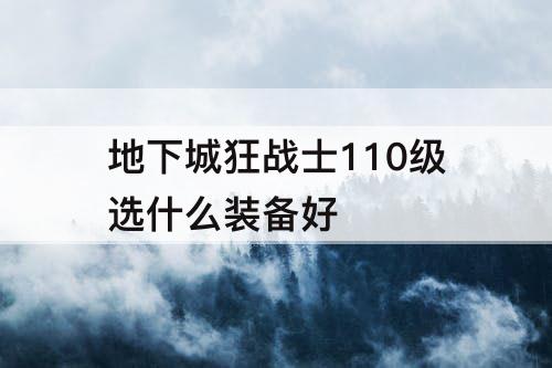 地下城狂战士110级选什么装备好