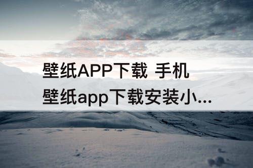 壁纸APP下载 手机壁纸app下载安装小舞