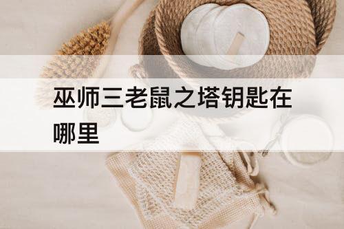 巫师三老鼠之塔钥匙在哪里