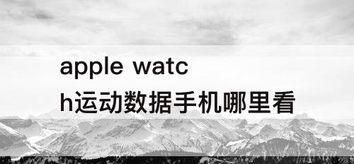 apple watch运动数据手机哪里看