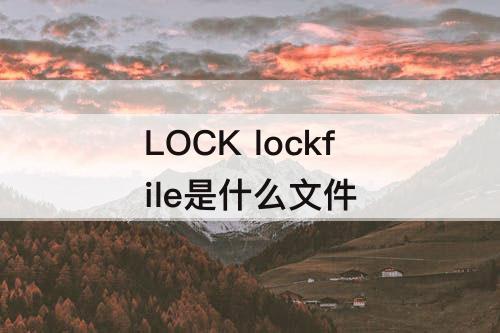LOCK lockfile是什么文件