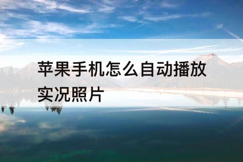 苹果手机怎么自动播放实况照片