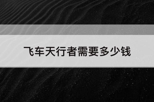 飞车天行者需要多少钱
