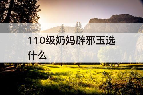 110级奶妈辟邪玉选什么