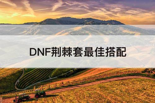 DNF荆棘套最佳搭配