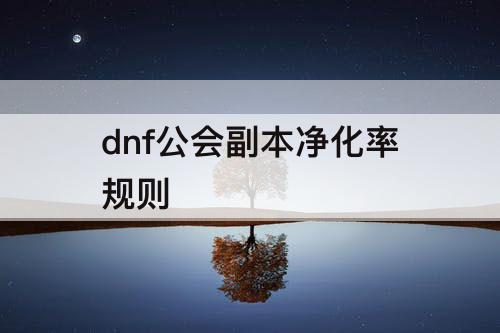 dnf公会副本净化率规则