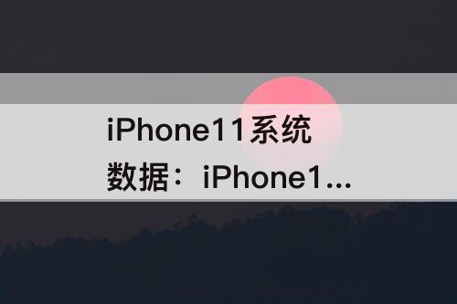 iPhone11系统数据：iPhone11系统数据怎么删除