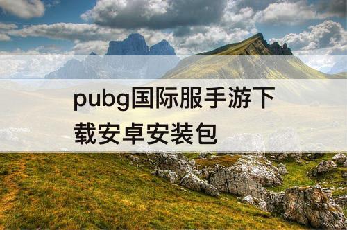 pubg国际服手游下载安卓安装包