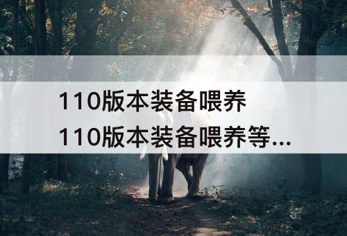 110版本装备喂养 110版本装备喂养等级上限