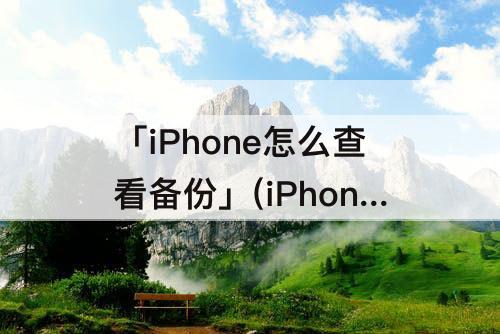 「iPhone怎么查看备份」(iPhone怎么查看备份数据)