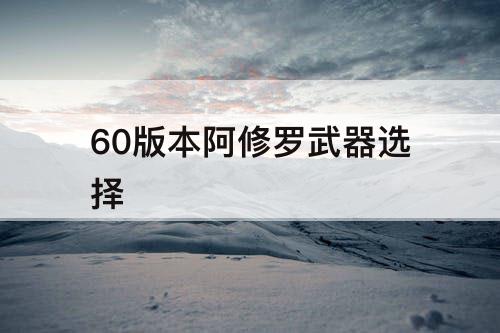 60版本阿修罗武器选择