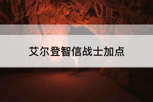 艾尔登智信战士加点