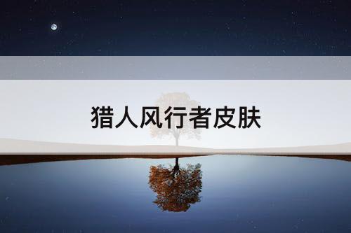 猎人风行者皮肤
