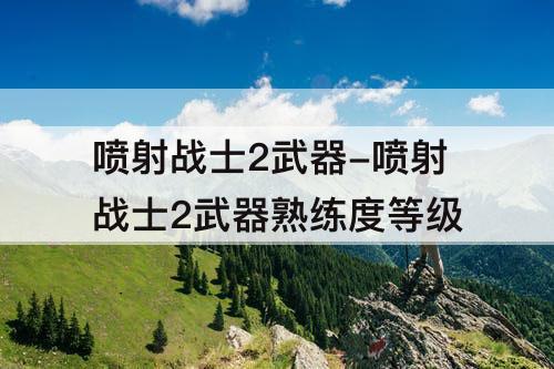 喷射战士2武器-喷射战士2武器熟练度等级