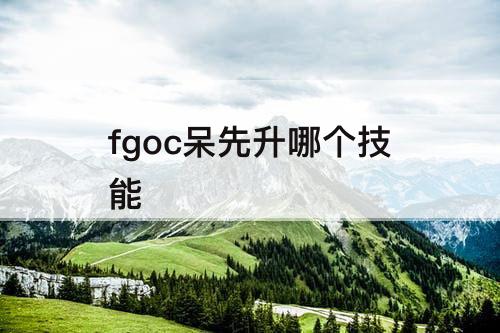 fgoc呆先升哪个技能