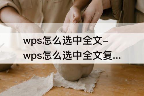 wps怎么选中全文-wps怎么选中全文复制