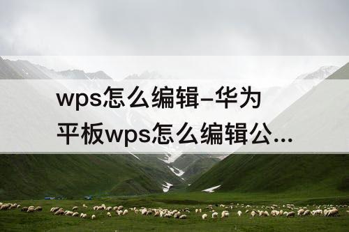 wps怎么编辑-华为平板wps怎么编辑公式