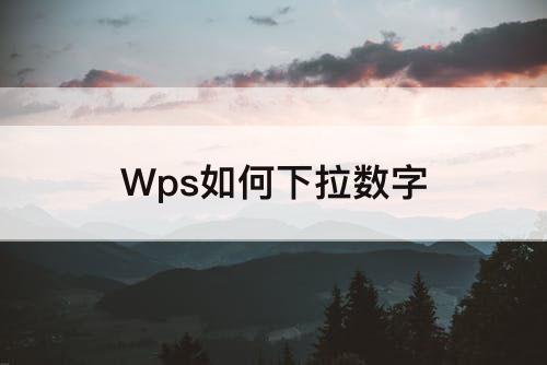 Wps如何下拉数字