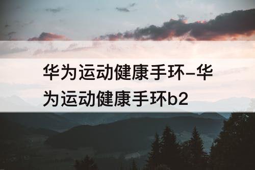 华为运动健康手环-华为运动健康手环b2