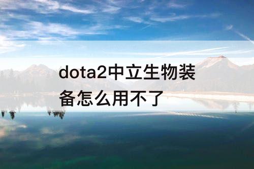 dota2中立生物装备怎么用不了