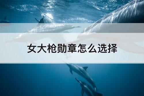 女大枪勋章怎么选择