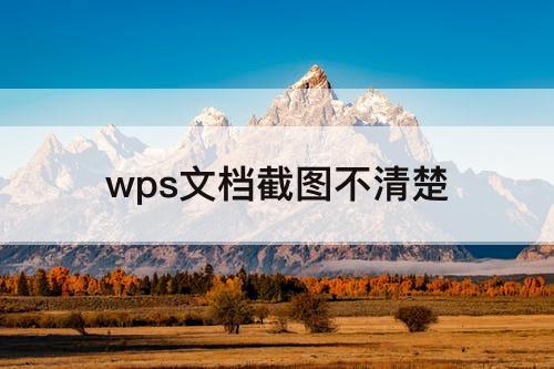 wps文档截图不清楚