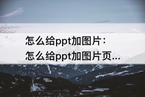 怎么给ppt加图片：怎么给ppt加图片页脚