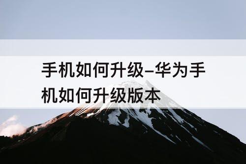 手机如何升级-华为手机如何升级版本