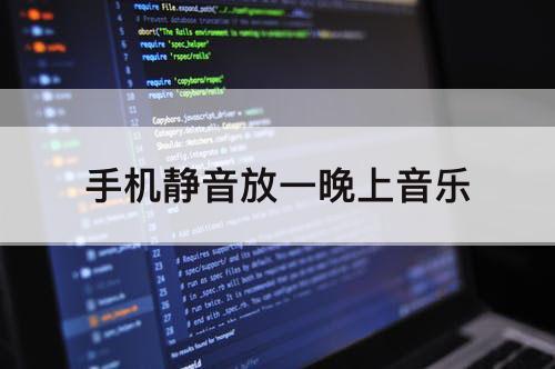手机静音放一晚上音乐