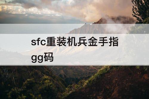 sfc重装机兵金手指gg码