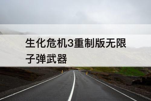生化危机3重制版无限子弹武器