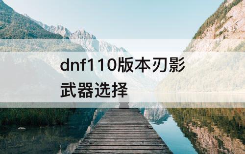 dnf110版本刃影武器选择