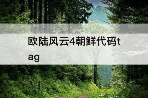 欧陆风云4朝鲜代码tag
