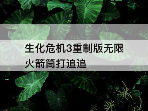生化危机3重制版无限火箭筒打追追