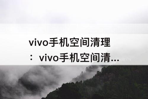 vivo手机空间清理：vivo手机空间清理点不开