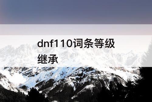 dnf110词条等级继承