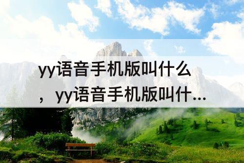 yy语音手机版叫什么，yy语音手机版叫什么名字