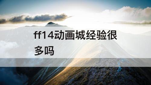 ff14动画城经验很多吗