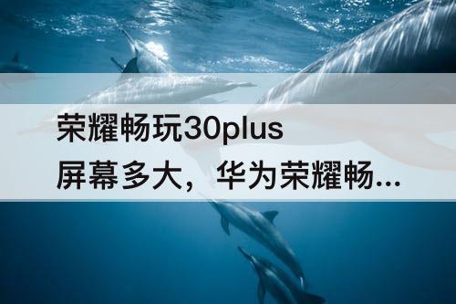 荣耀畅玩30plus屏幕多大，华为荣耀畅玩30plus屏幕多大