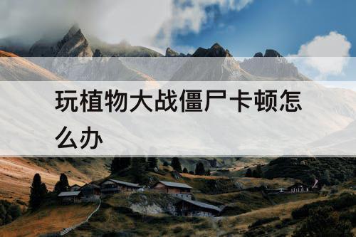 玩植物大战僵尸卡顿怎么办