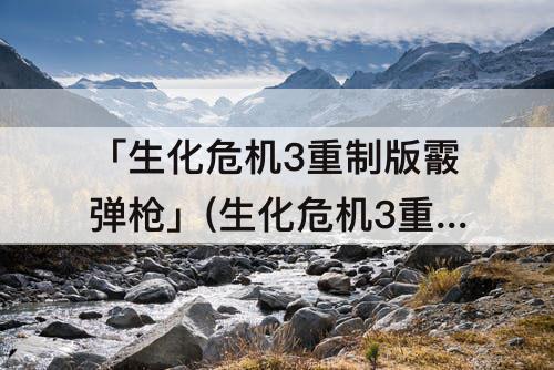 「生化危机3重制版霰弹枪」(生化危机3重制版霰弹枪mod)